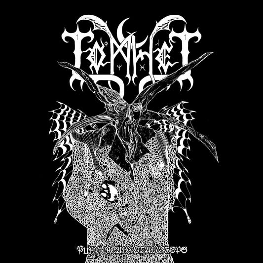 Tomhet - Purpureargotamiceps