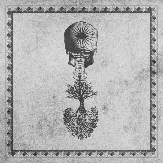 Ara Solis – Ashvattha 12”