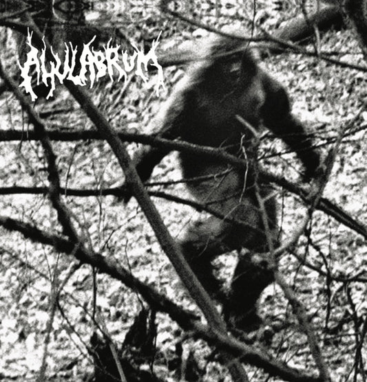 Ahulabrum - Strange Lights Portend Their Presence LP