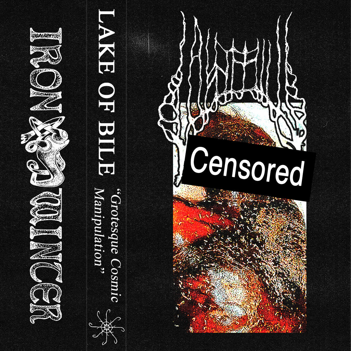 Lake Of Bile - Grotesque Cosmic Manipulation