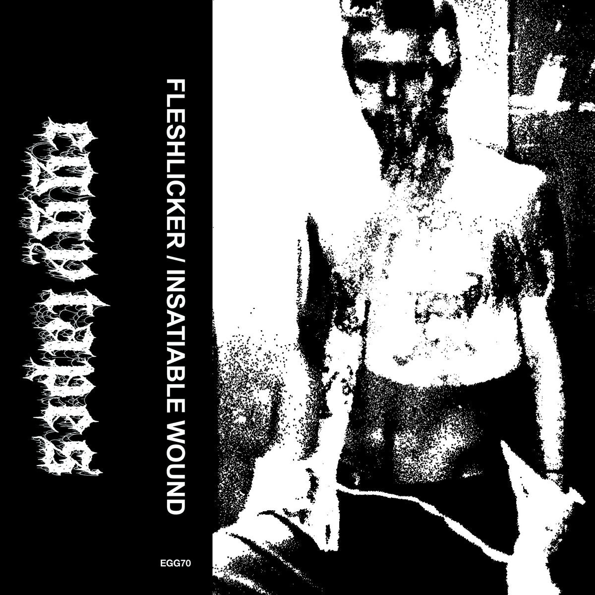 FLESHLICKER / INSATIABLE WOUND - Split Tape
