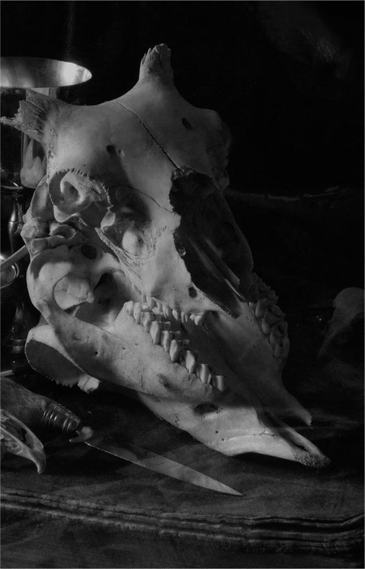 Culver – Eliaine Tape