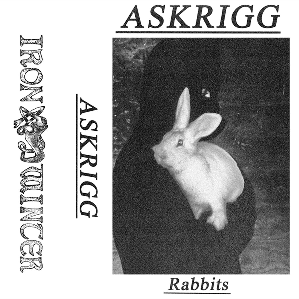 Askrigg - Rabbits