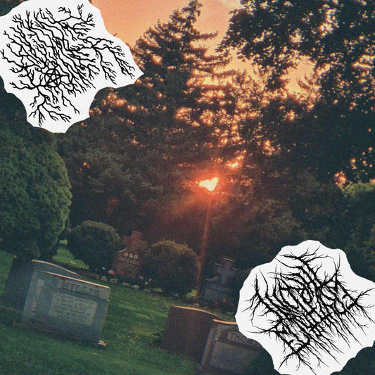 Blood Tower / Erythrite Throne - Blood Tower / Erythrite Throne 7"