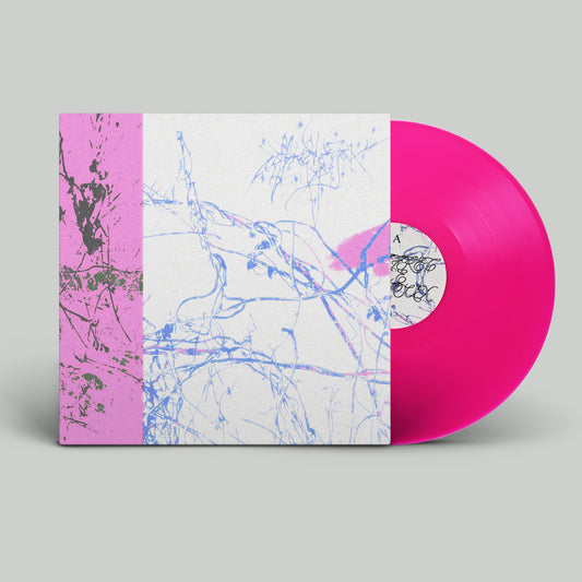 COFFRET DE BIJOUX - J'aeae cràiserais j'squa je n'aïe pluxe d'e vie... LP