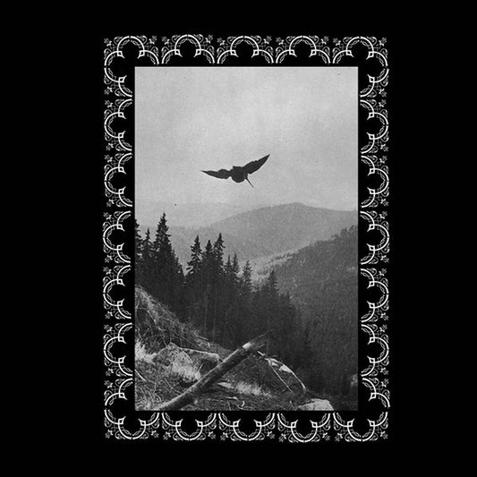 Ostots - Hil Argi