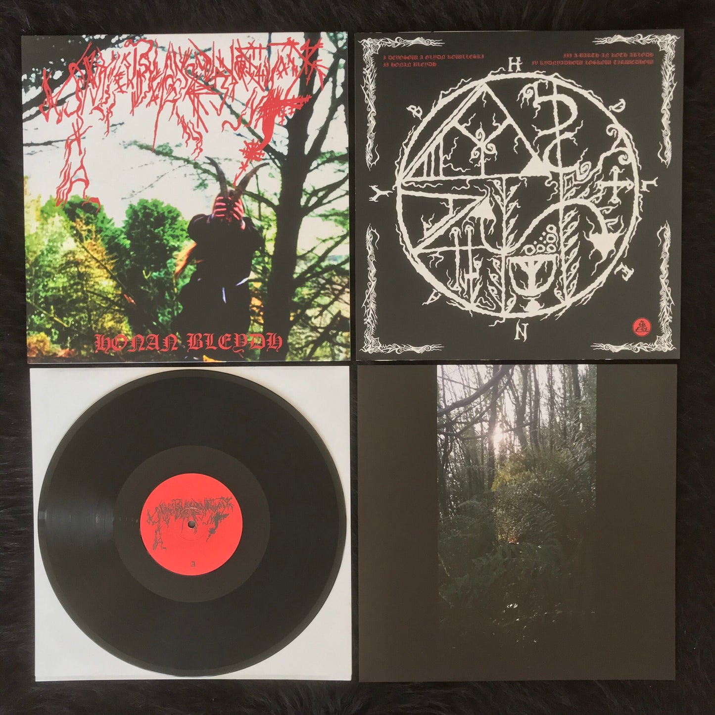 Ynkleudherhenavogyon - Honan Bleydh