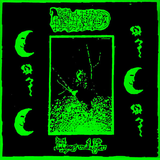 Grollfried - Moos Und Efeu