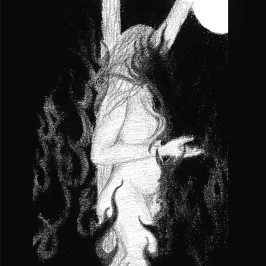 Skinliv / Vermisst - Split LP
