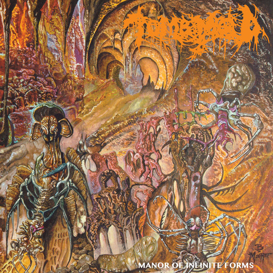 TOMB MOLD - MANOR OF INFINITE FORMS (SWIRL VINYL)