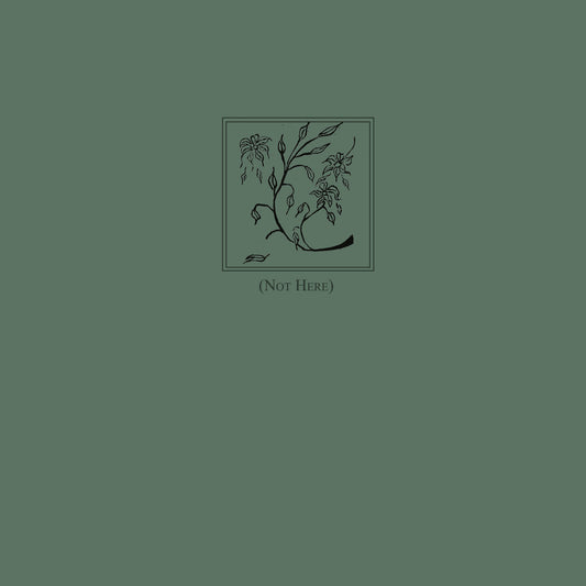 Reverorum Ib Malacht - Not Here