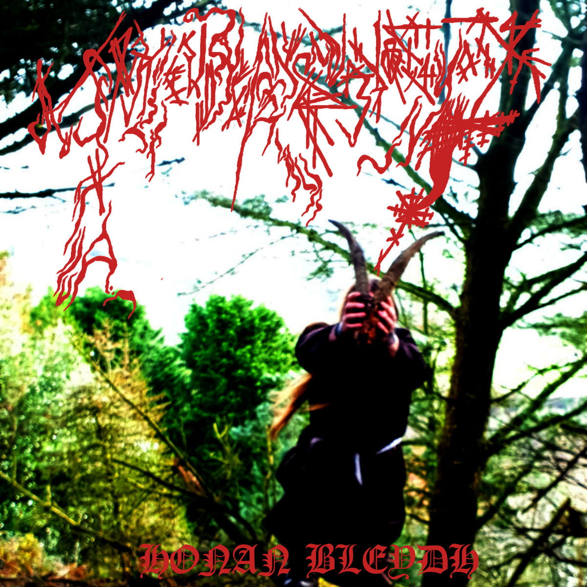 Ynkleudherhenavogyon - Honan Bleydh