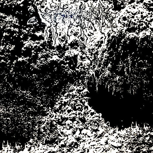 Ctenizidae - Undimensional Wasteland of Plague and Withering Throats LP