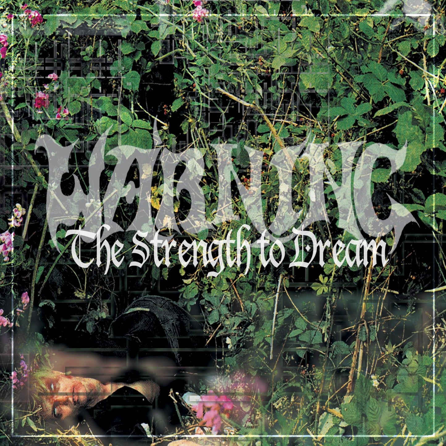 Warning - The Strength to Dream